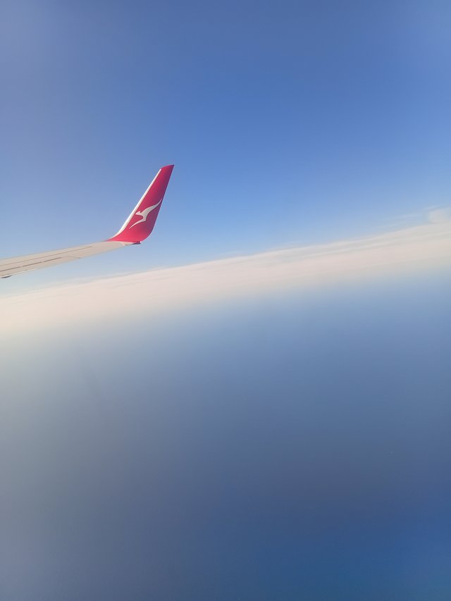 20250907_093109.jpg