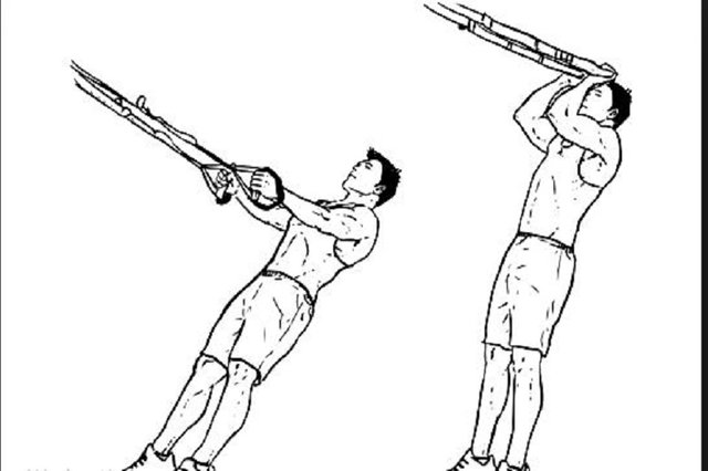 Suspension Trainer Biceps Curl.JPG