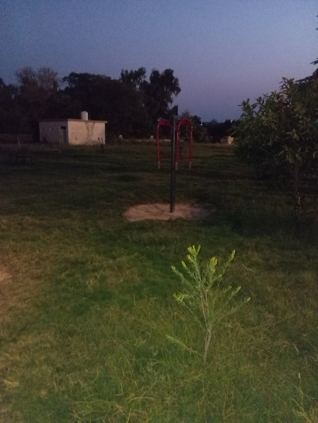 1000577552.jpg