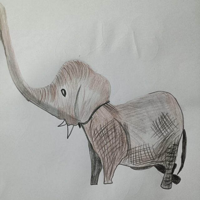 8b6e0163-8e3b-4360-a037-35f8da24c214.jpeg