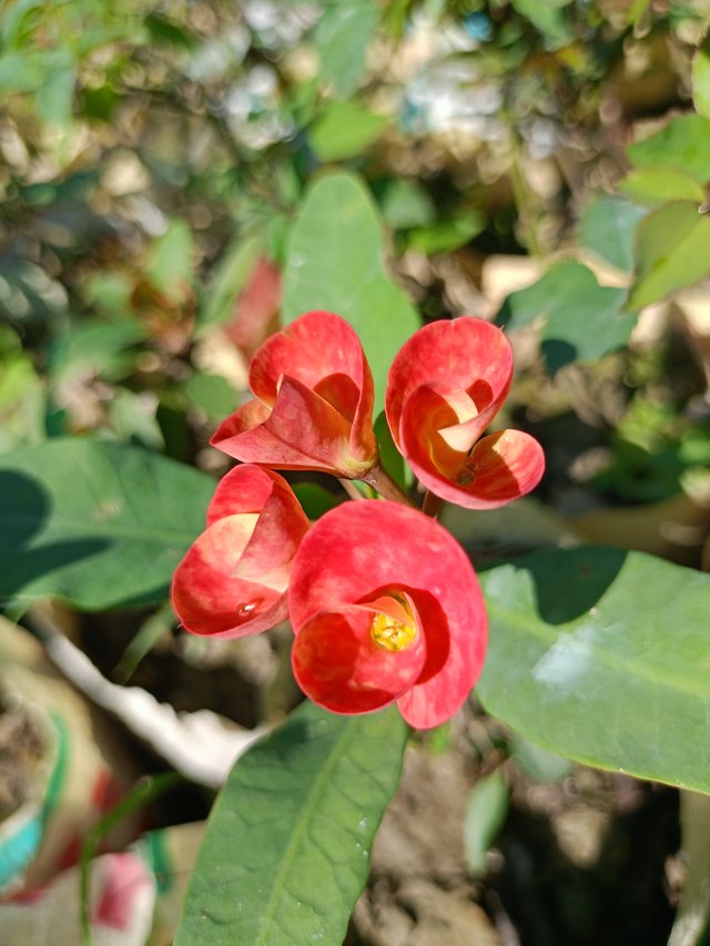 IMG20241120111504.jpg