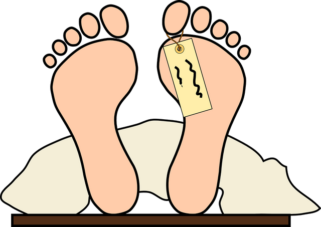 toe-tag-g735e8b7b7_1280.png