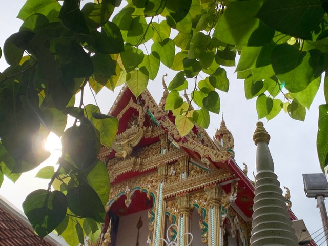 Wat Bho23.jpg