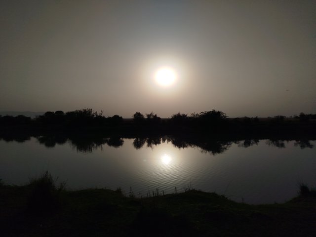 IMG_20250414_174908.jpg