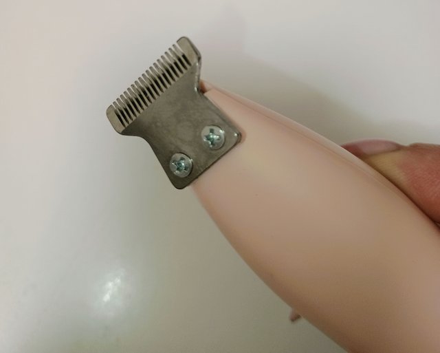 1000002003.jpg