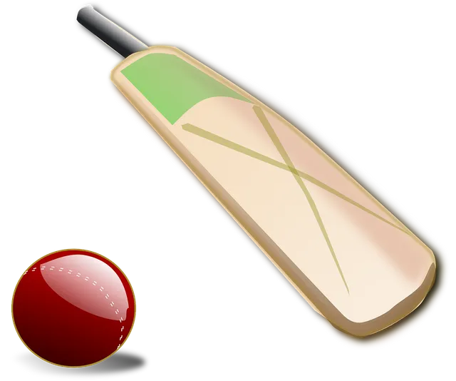 cricket-150560_1280.webp