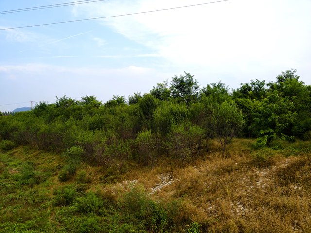 img_20250921_143020.jpg