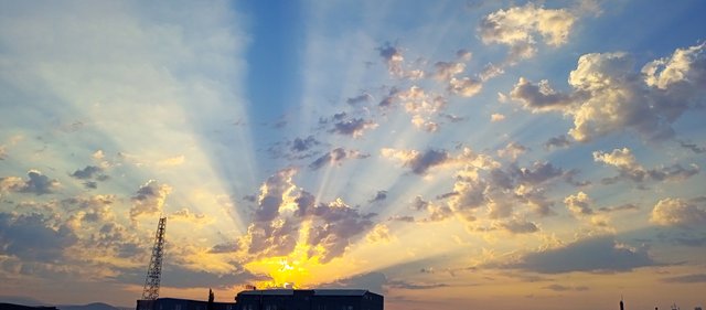 IMG_20220806_063153_494.jpg