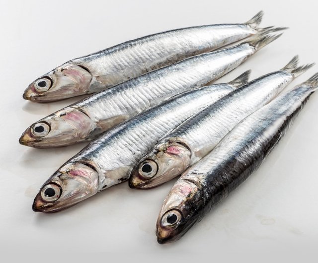 Anchovies 2.jpg