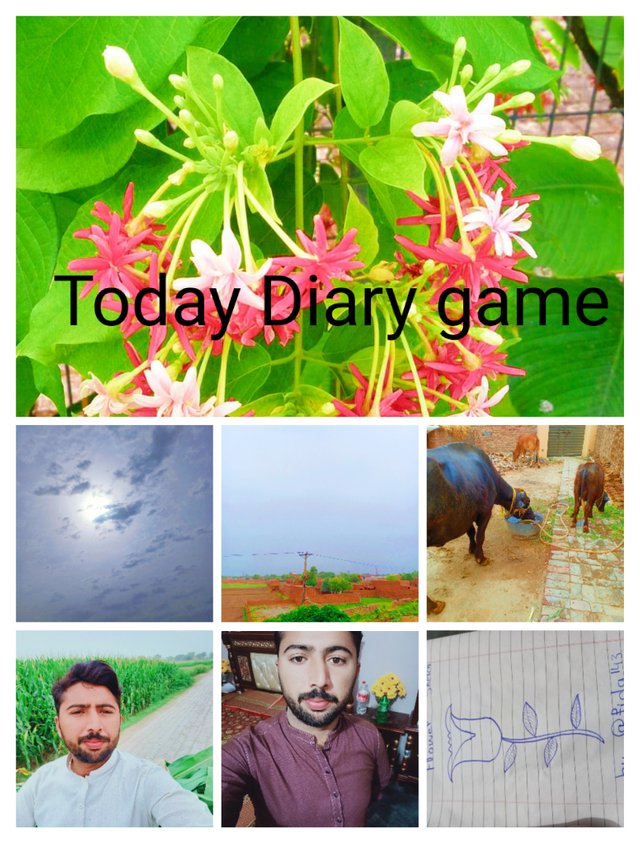 IMG_20210523_140335.jpg