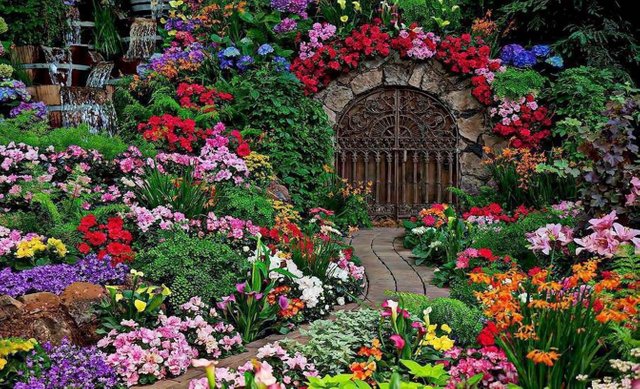 flowers-filled-colorful-flower-beautiful-garden-nature_garden-ideas.jpg