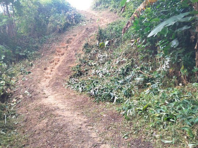 IMG20250821081658.jpg