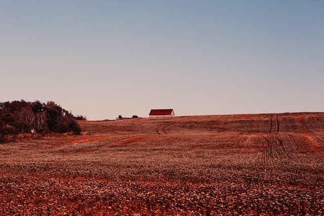 far-barn.jpg