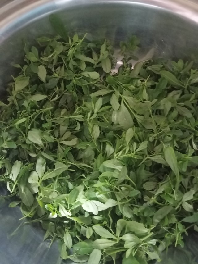 1000810206.jpg