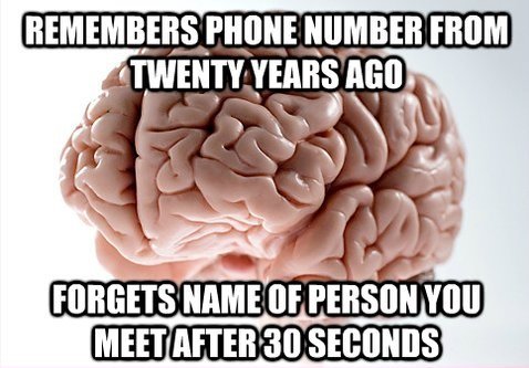 funny-pictures-memory-brain.jpg