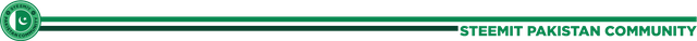 Steem Pakistan Divider 3 (2).png