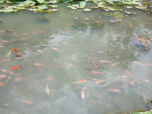 20250419_114643.jpg