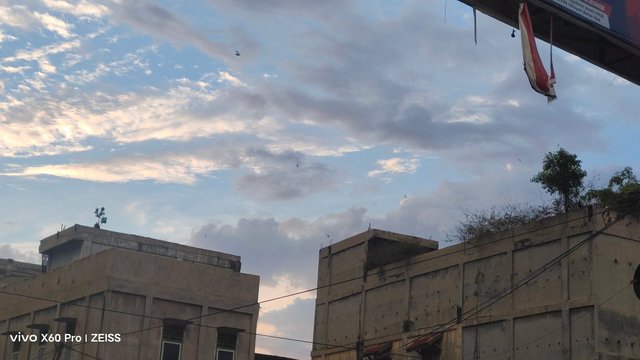 1000590371.jpg