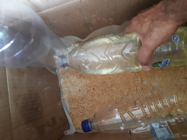 20250506_102313.jpg
