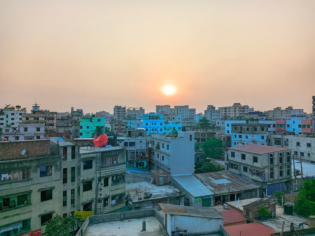 1000037548.jpg