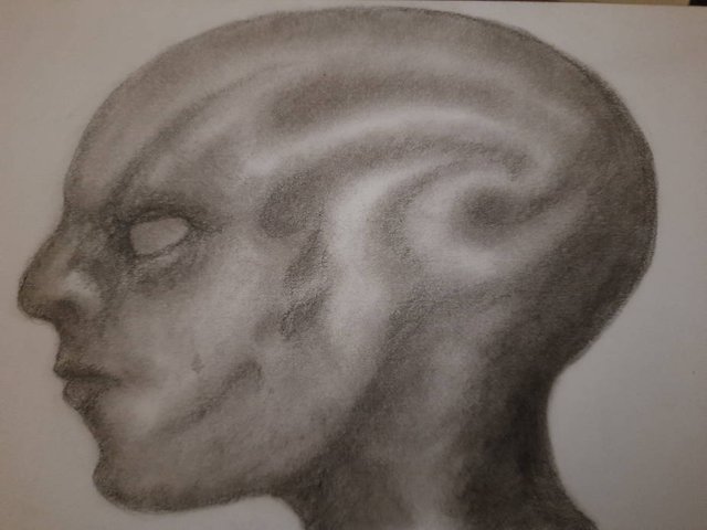 20250730_110826.jpg