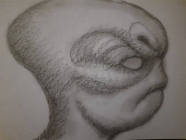 20250608_094945.jpg