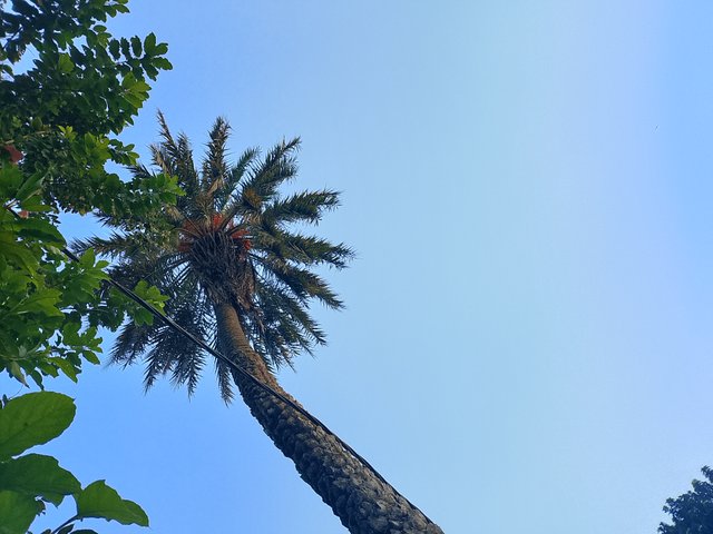 1000020785.jpg