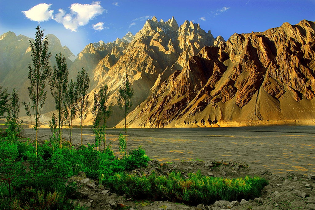 passu.png