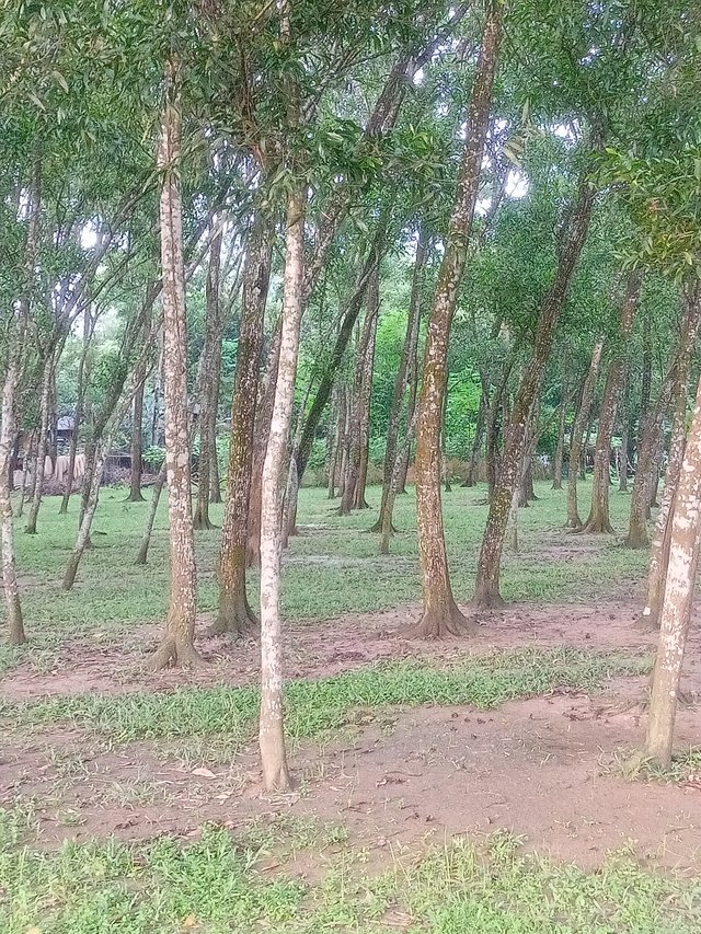 IMG20250801174357.jpg