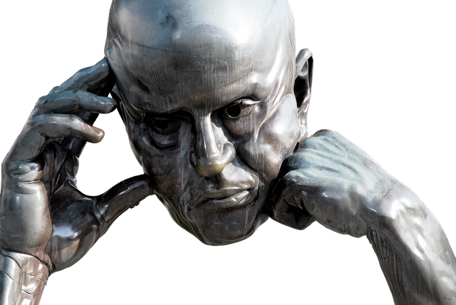 head-2428333_1920.png