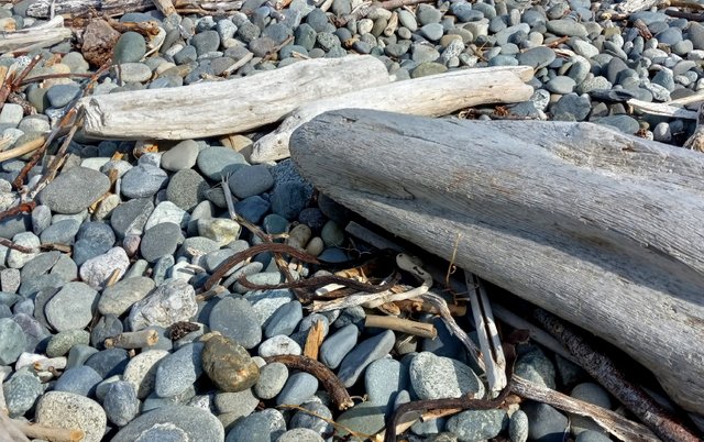 x704-Driftwood.JPG