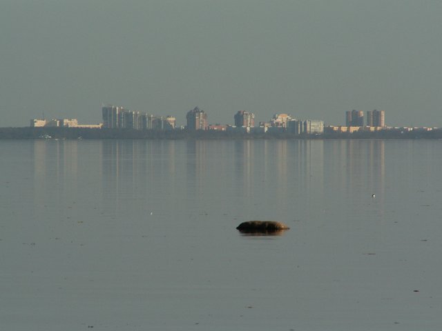 PICT0199.jpg