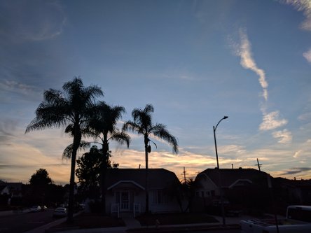 sunset trees trails.jpg