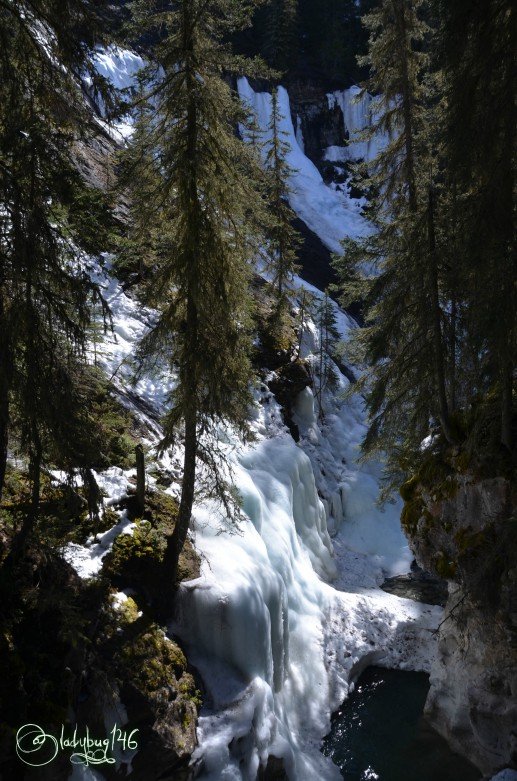 johnston_canyon2.jpg