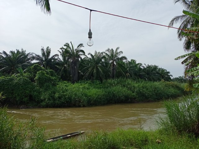 IMG20250614093306.jpg