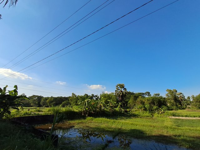 20241109_145615.jpg