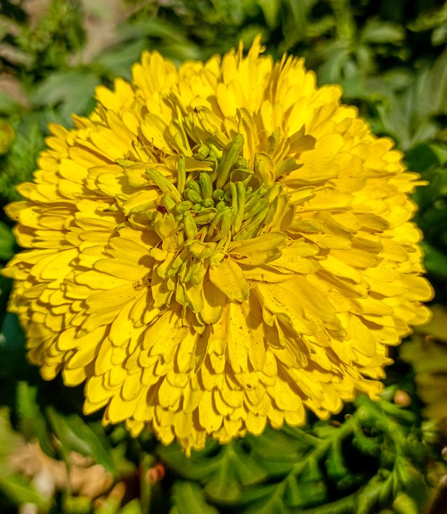 IMG20250209121306.jpg