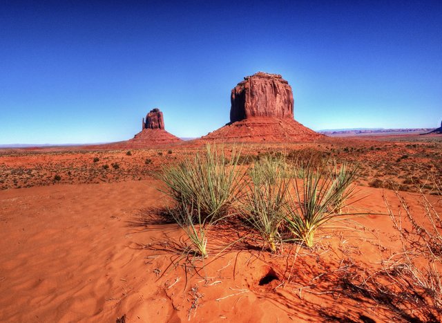 Monument Valley Navajo Nation (4)jpg.jpg