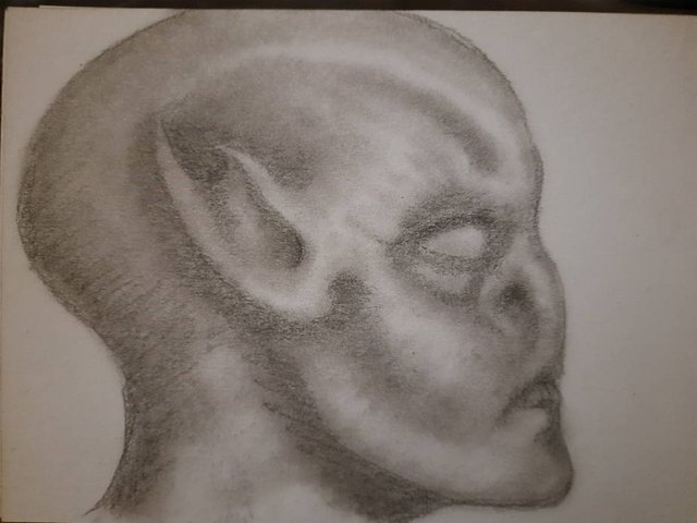 20250721_105304.jpg