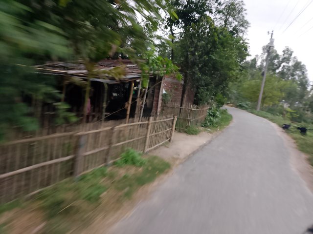 1000038083.jpg