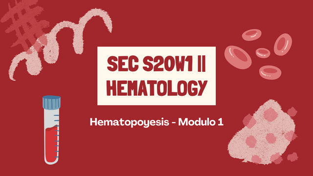 El SEC S20W1  Hematology.png