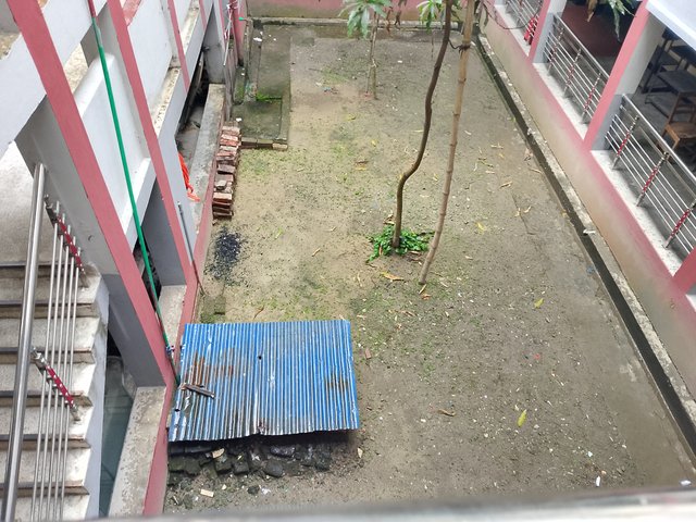 1000036320.jpg