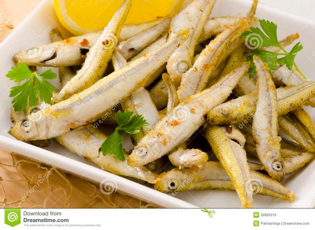spanish-cuisine-deep-fried-seafood-pescaito-frito-tapas-white-plate-selective-focus-32850519.jpg