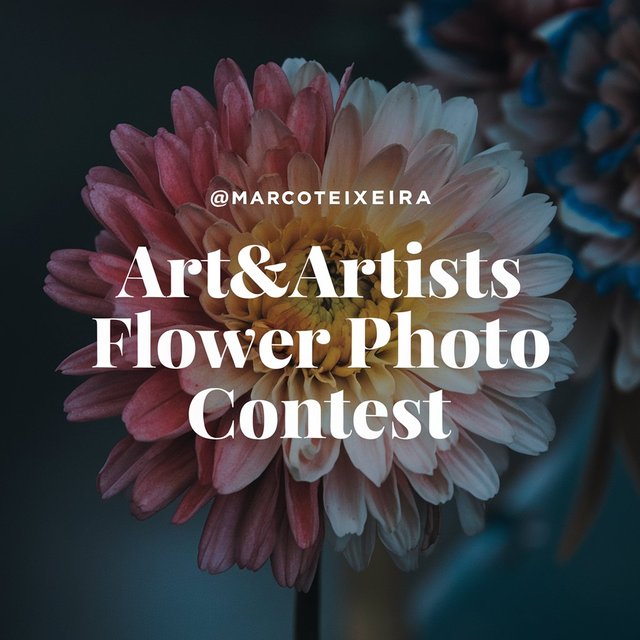 contest_flower_1.jpg