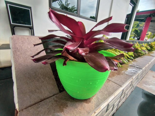 20220530_135220.jpg