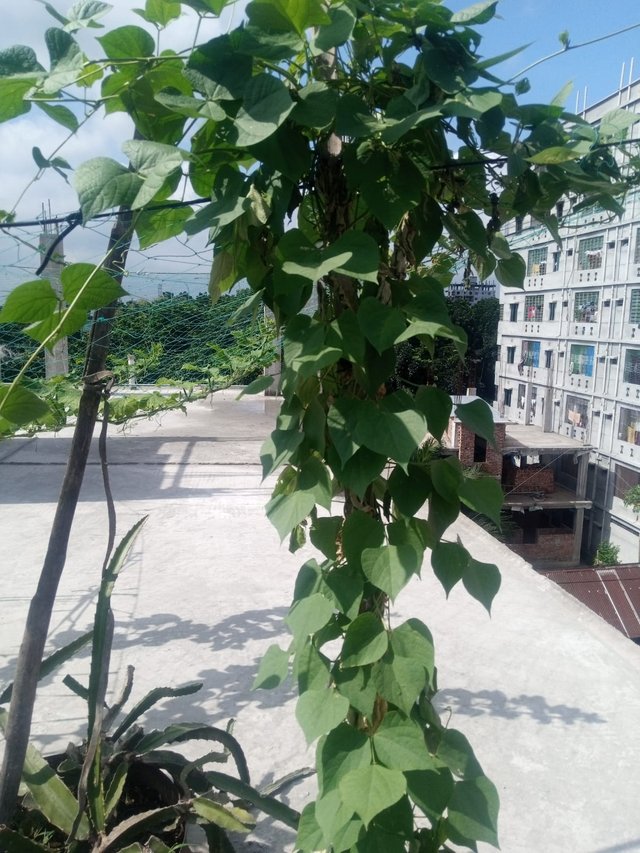 WhatsApp Image 2025-06-30 at 12.16.41 AM (2).jpeg