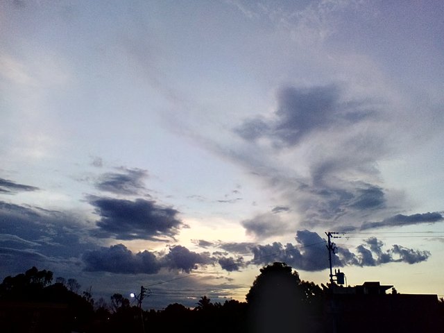 IMG_20210704_191059.jpg
