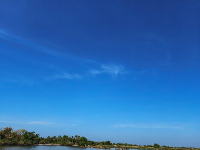 IMG_20250314_093159.jpg