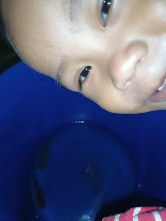 IMG_20211031_172253.jpg