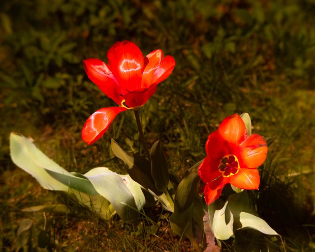 DSC05061-3.jpg
